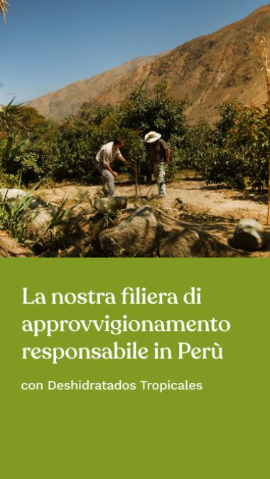 La nostra filiera di approvvigionamento responsabile in Perù con Deshidratados Tropicales
