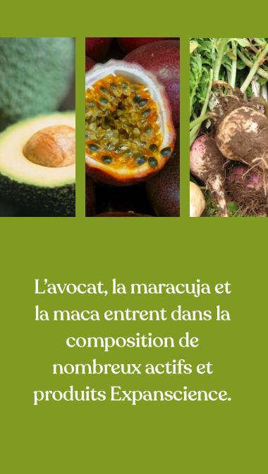 L’avocat, la maracuja et la maca entrent dans la composition de nombreux produits et actifs Expanscience.