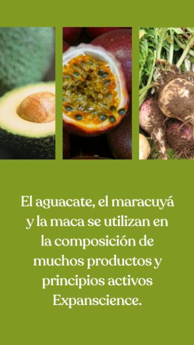El aguacate, el maracuyá y la maca se utilizan en la composición de muchos productos y principios activos Expanscience.