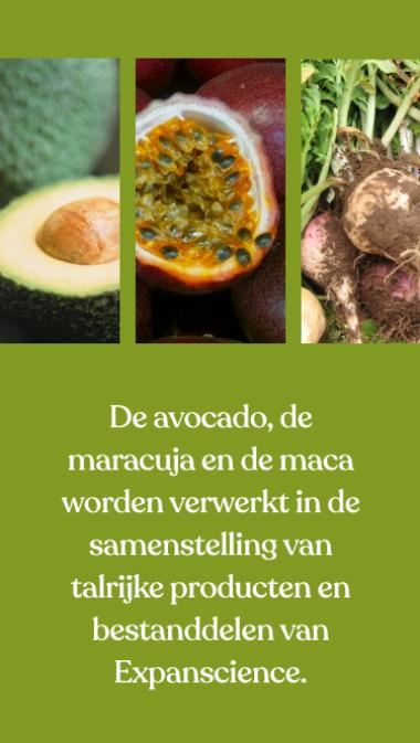 De avocado, de maracuja en de maca worden verwerkt in de samenstelling van talrijke producten en bestanddelen van Expanscience.