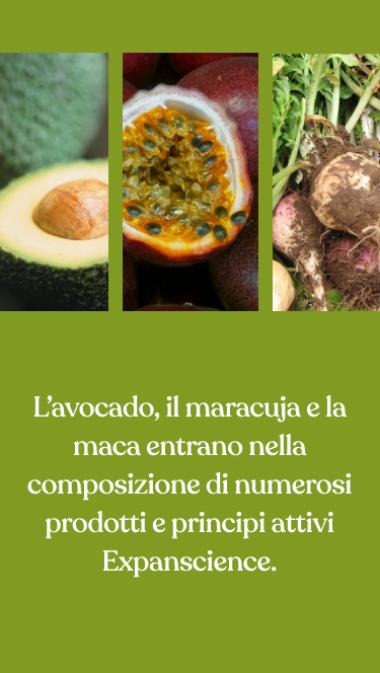 L’avocado, il maracuja e la maca entrano nella composizione di numerosi prodotti e principi attivi Expanscience.