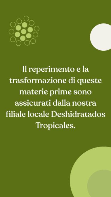 Il reperimento e la trasformazione di queste materie prime sono assicurati dalla nostra filiale locale Deshidratados Tropicales.