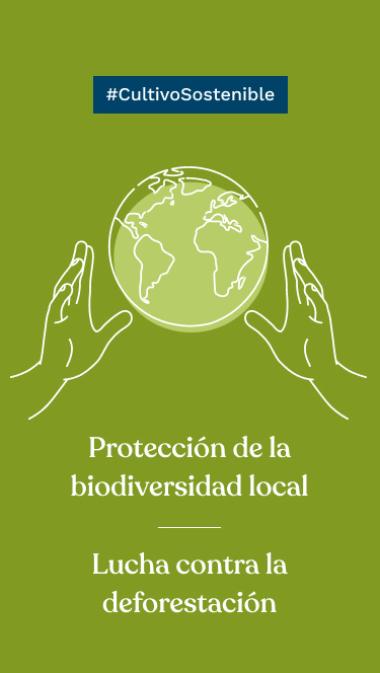 #CultivoSostenible Protección de la biodiversidad local Lucha contra la deforestación