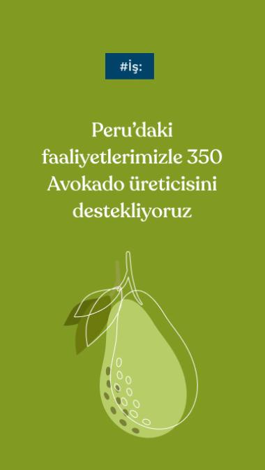 #İş: Peru’daki faaliyetlerimizle 350 Avokado üreticisini destekliyoruz