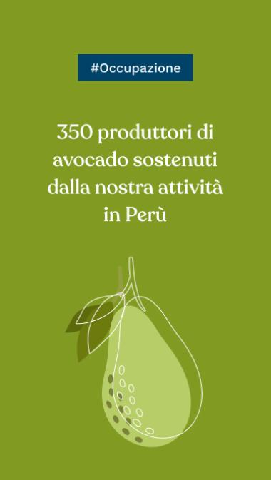 #Occupazione: 350 produttori di avocado sostenuti dalla nostra attività in Perù