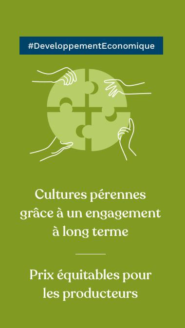 #DeveloppementEconomique Cultures pérennes grâce à un engagement à long terme Prix équitables pour les producteurs  