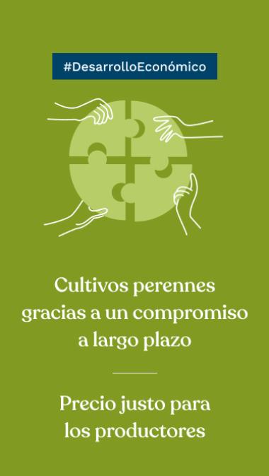 #DesarrolloEconómico Cultivos perennes gracias a un compromiso a largo plazo Precio justo para los productores  