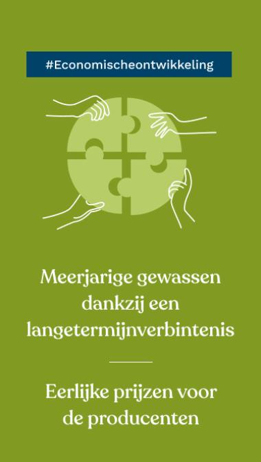 #Economischeontwikkeling Meerjarige gewassen dankzij een langetermijnverbintenis Eerlijke prijzen voor de producenten