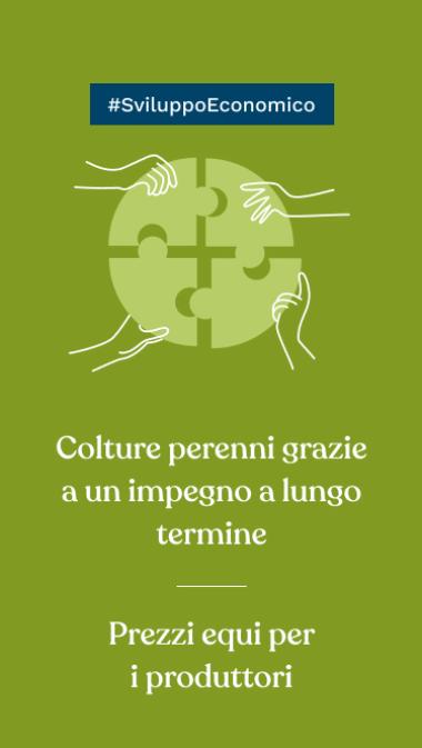 #SviluppoEconomico Colture perenni grazie a un impegno a lungo termine Prezzi equi per i produttori  