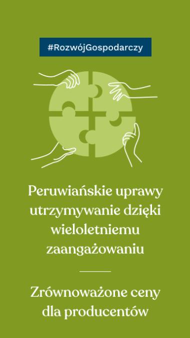 #RozwójGospodarczy Peruwiańskie uprawy utrzymywanie dzięki wieloletniemu zaangażowaniu Zrównoważone ceny dla producentów