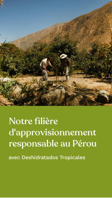 Notre filière d’approvisionnement responsable au Pérou avec Deshidratados Tropicales